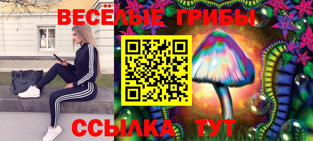 даркнет сайт  Вход с VPN  Псилоцибиновые грибы мицелий  Ессентуки  Псилоцибиновые грибы прущие грибы 