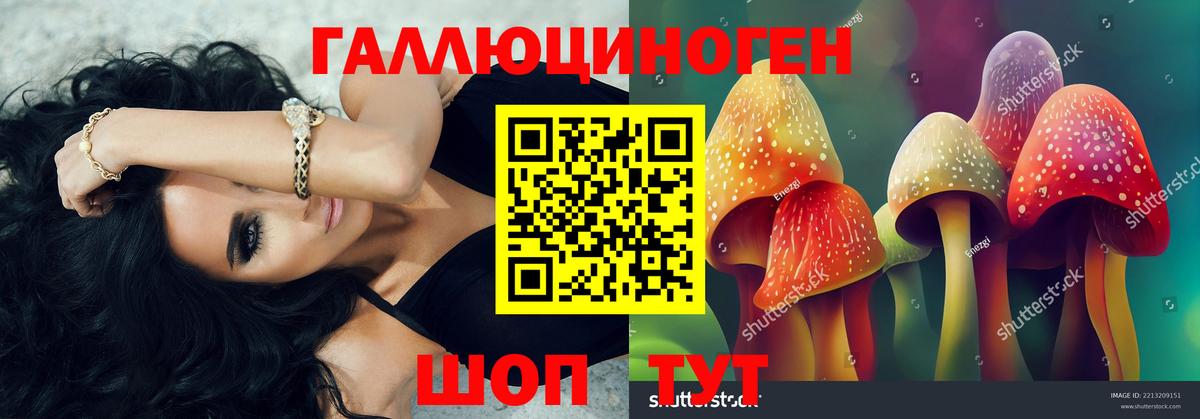 Галлюциногенные грибы Cubensis Ессентуки